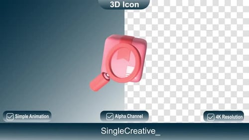 3 D Icon Search Box Animation