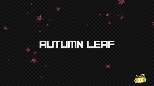 Natural Falling Red Autumn Leaves Video Overlay