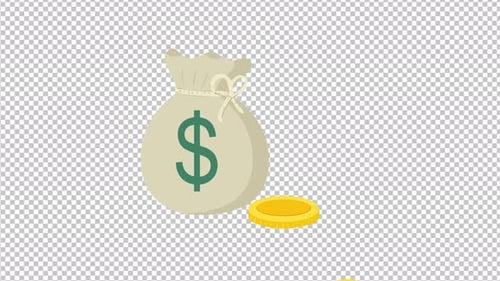 Money Animation