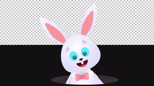 Rabbit Animation | Alpha Channel