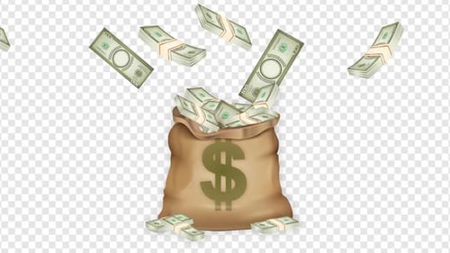 Money in Bag Send Money in the Sack USD