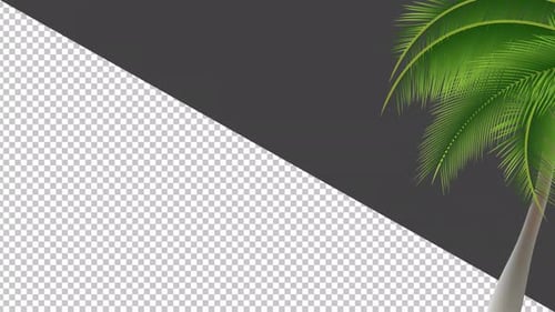 Animated Palm Tree Swaying Transparent Background