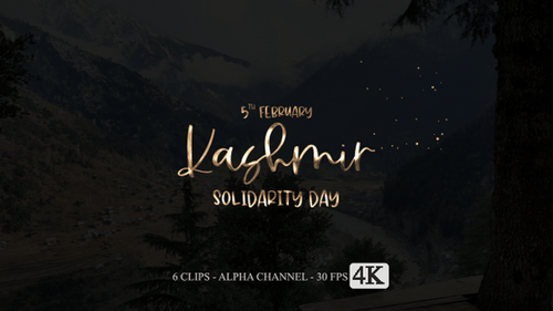 Elegant Script Text Reveal with Sparkling Particles Title