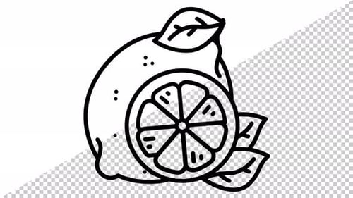 Summer Line Lemon Icon Looping Animation with Transparent Background
