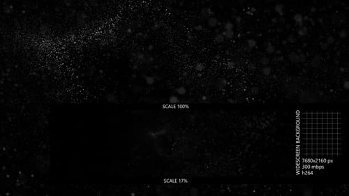 Black Particles