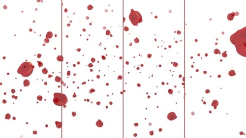 Falling Red Rose Petals Background Overlay