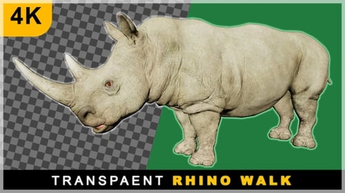 Realistic Rhinoceros Walking Animation Cycle