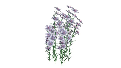 Gentle Swaying Purple Flowers Animation with Alpha Channel