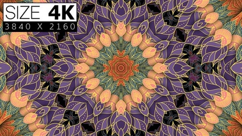 Colorful Abstract Mandala Petal Pattern Animated Background Loop