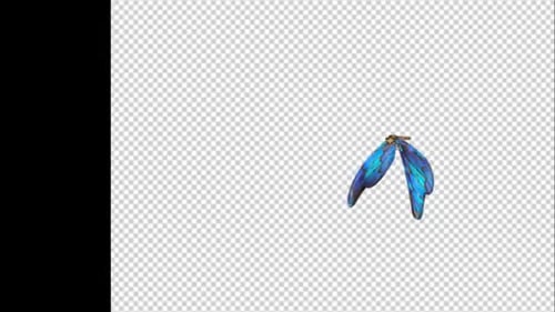 Animated Blue Butterfly Flying Element