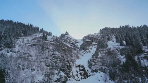 8K Snowy Mixed Forest, Bush Trees and Rocky Cliffs in Winter