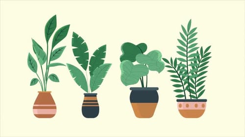 4 vases Alpha Channel