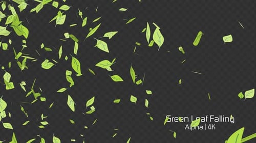 Green Leaf Falling Alpha