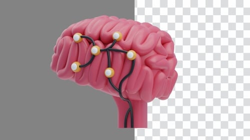 3D Animation of Neural Circuit Pathway | Alpha Channel