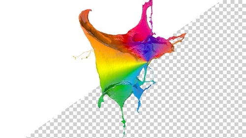 Vibrant Rainbow Paint Splash Fluid Animation