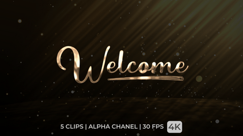 Elegant Metallic Welcome Text Reveal Animation Pack