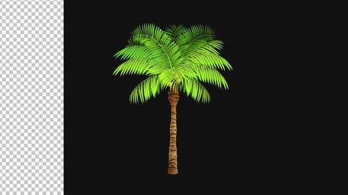 Palm Tree Movement Alpha Looped