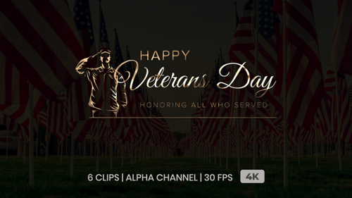 Happy Veterans Day Elegant Script Title with Saluting Soldier Animation