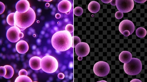 Staphylococcus Aureus With Alpha Channel