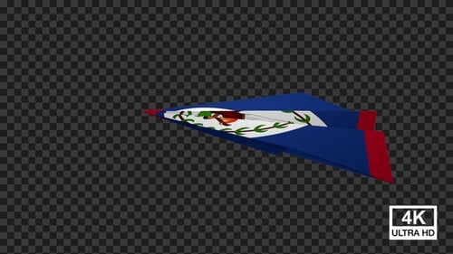 Papierflugzeug der Flagge von Belize V2