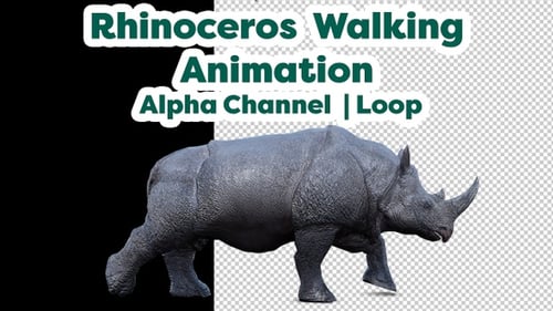 Animated 3D Rhinoceros Walking on Transparent Background