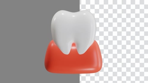 3D Animated Rotating Tooth and Gums
