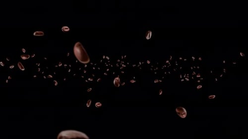 4K Falling realistic coffee beans loop background Animation green screen.