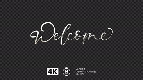 Elegant Metallic Welcome Text Reveal