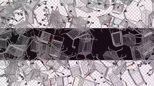 Shopping Carts Transition Reveal