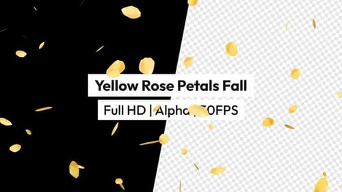 Yellow Rose Petals Falling Overlay