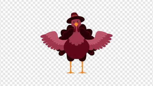 Thanksgiving Turkey Chicken Animation Alpha 4K