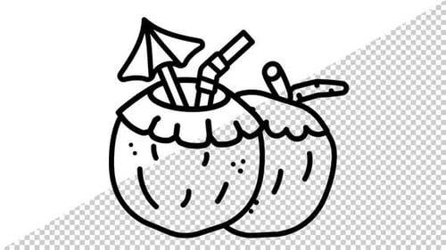 Minimalist Line Art Coconut Drink Drawing Animation