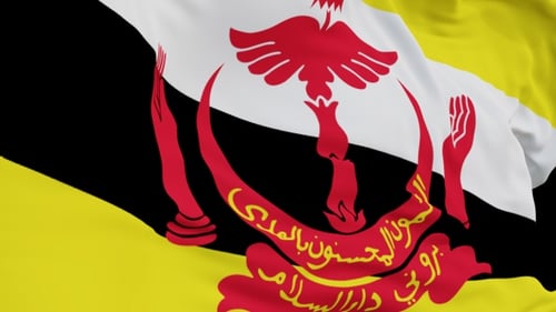 The Brunei with alpha channel waving in the wind in slow motion