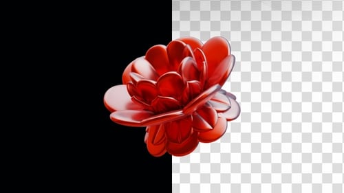 3D Animation of Bloom Flower Shape