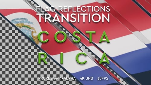 Dynamic 3D Flag Slices Reveal Transition