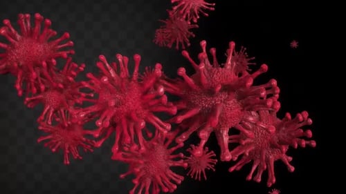 Abstract Red Virus Particles Floating on Transparent Background