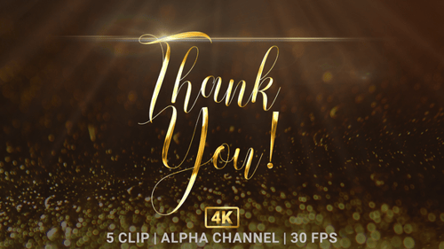 Golden Thank You Calligraphy Reveal Animation