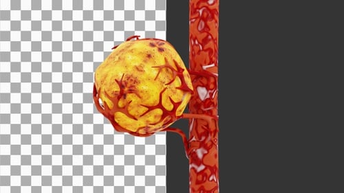 3D Animation of blood cells attacking breast cancer cells | Alpha Channel