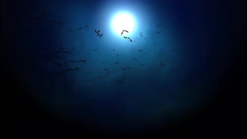 4K Loop Background of Halloween Night Animatio. flying Bats Halloween Night festival