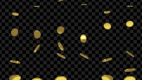 Falling Gold Coins with Alpha Channel Loop Animation