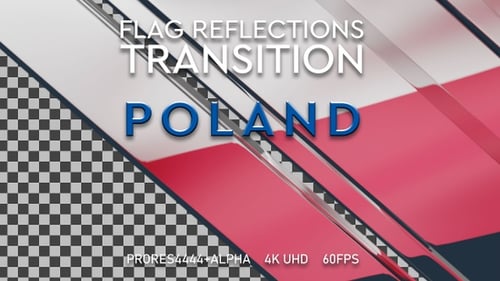 Sleek Countdown Title Reveal with Glossy Geometric Panels