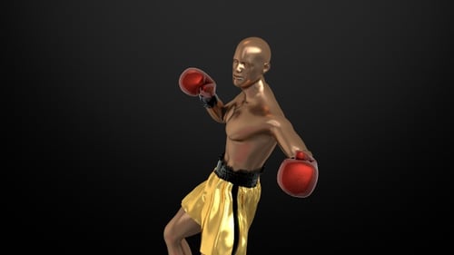 Golden Boxer Figure Training Animation