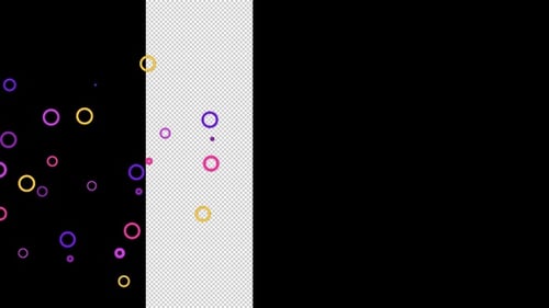 Circle Confetti Bubble V.1