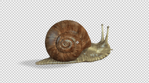 Schnecke im Leerlauf