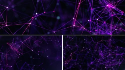 Animated Purple Plexus Network Connection Background Loop