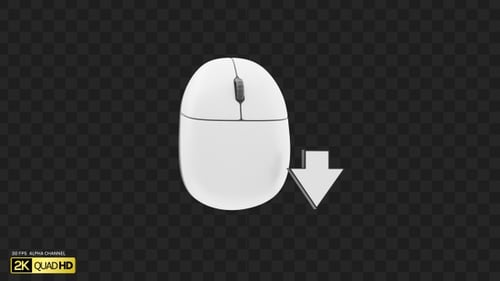3D Scroll Down | Alpha Channel