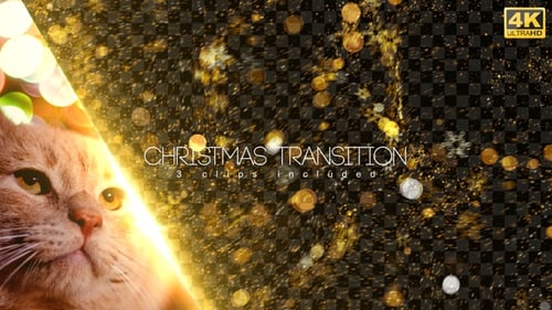 Christmas Partcle Transitions