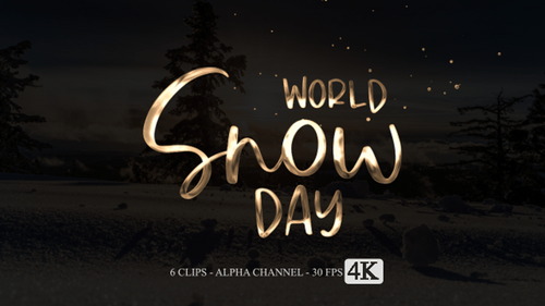 Animated Shiny Gold World Snow Day Text Reveal