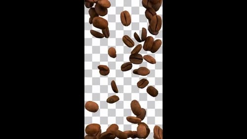 Realistic Coffee Beans Vertical Fill Animation
