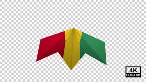 Drapeau de l'avion de Guinée en papier